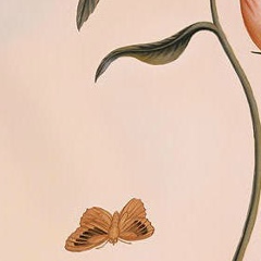 Оля Исаева, 22.07, Москва