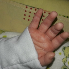 Максим Шевченко, 07.01.1988, Кропивницкий / Кировоград