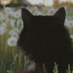 Марина Иванова, 28.10, Коломна