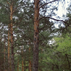 Ботагоз Есенова, 19.12