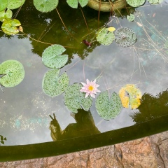 Гюльназ Абдурахманова, 06.08, Махачкала