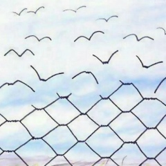 Анастасия Летописцева, 08.01