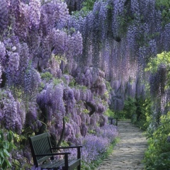 Мехрибан Усейнова, 14.01.1990, Баку