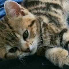 Екатерина Padoctb, Москва