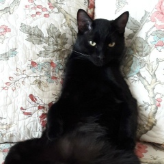 Наталья Никифорова, 20.01