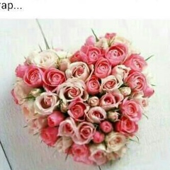 Альбина Балжанова, 11.11, Тараз