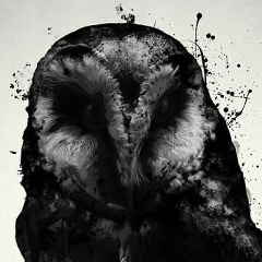 Никита Никита