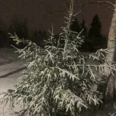 Марк Фомин, 18.09, Санкт-Петербург