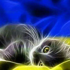 Елена Левицкая, 05.02, Харьков