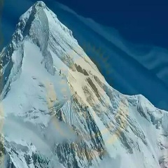 Аяулым Сулейменова, Алматы