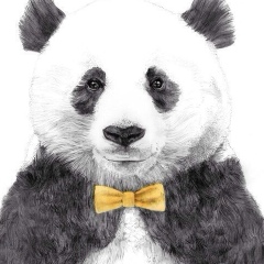 Рашид Сулейманов, 10.08, Москва