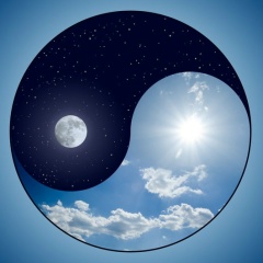 Закир Хазыров, 23.06, Алматы