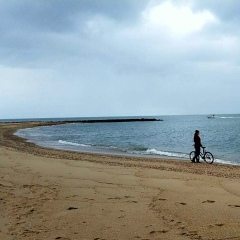 Світлана Бірецька