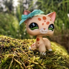 Саша Иванов, Freedom