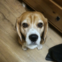 Евгения Мерещенко, 30.07, Москва