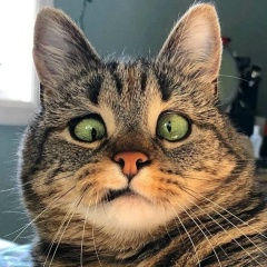 Валерий Чихачёв, 03.01.1988, Москва