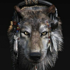 Саша Тищенко, Ромны