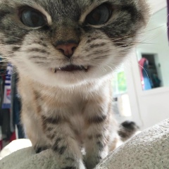 Алексей Прокудин, 26.01.1990, Сургут