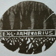 Рауль Бекар, 27.09, Ярославль