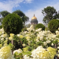 Эмилия Моспанюк, 29.04, Санкт-Петербург