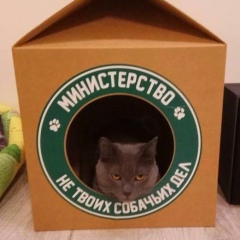 Вячеслав , 18.07.1982, Санкт-Петербург