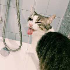 Вера Деблик, 03.09.1988, Уфа