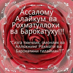 Дина Хасанова, Шымкент