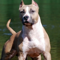 Жека Найденышев, 03.12.1985, Красноярск