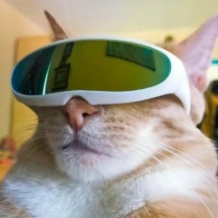 Константин Ламантин, 17.06.1991