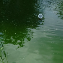 Евгений Колесников, 25.08, Челябинск