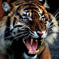 Марат Сабирзянов, 30.08.1974, Арск