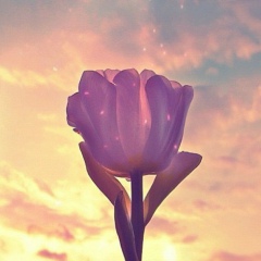 Динара Рахимова, 05.03.1990, Алматы