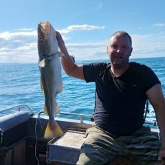 Дима Я, Санкт-Петербург