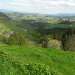 Виктория Кузяк, 20.06, Теплодар
