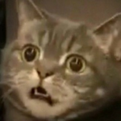 Тоха Барабаш, 01.05.1998