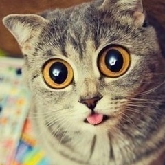 Глория Мищенко, 03.08, Запорожье