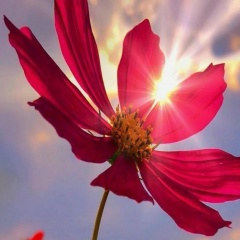 Ногтевая Студия, Новосибирск