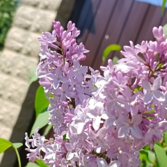 Олечка Шагун, 29.05.1986, Санкт-Петербург