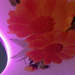 Оскар Потолков, 07.01, Саранск