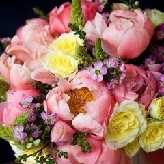 Алена Цибезова, 27.09, Москва