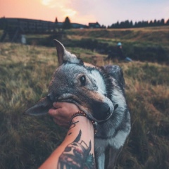 Макс Соболев, 13.08, Прохладный