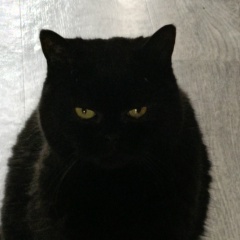 Леночка Буткевич, 31.10, Калининград