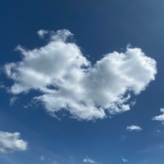 Анечка Сибирцева, Санкт-Петербург