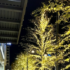 Roma Vi, 09.08, Луганск