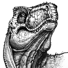 Fury On, 27.05, Санкт-Петербург