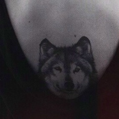 Кантемир Борсов, 04.09.1901, New York City