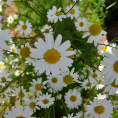 Туяна Степанова, 12.06.1973, Кяхта