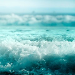 Мурад Нажуев, 11.12.1989, Санкт-Петербург