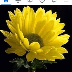 Khin Su-Yi, 23.11.1973