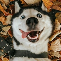 Марк Смит, 01.06.1990